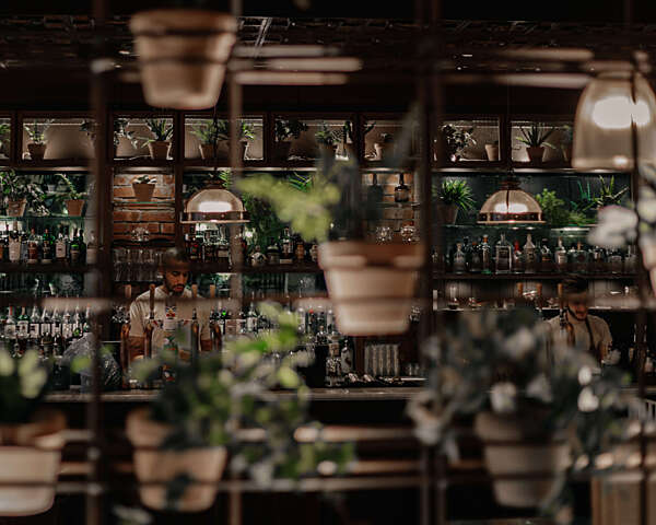 the bar at the botanist 